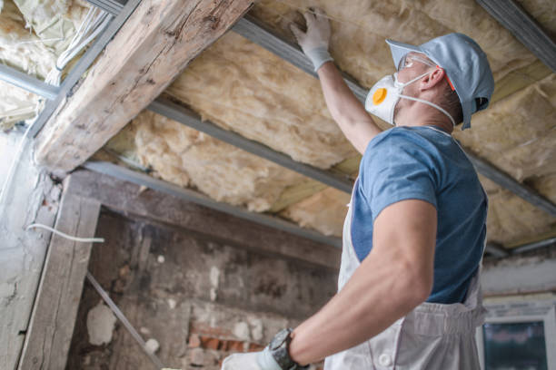 Best Geographic-Specific Insulation Services in Oswego, IL