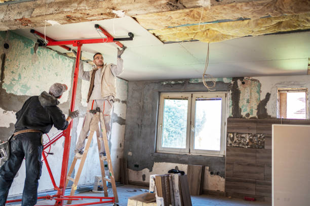 Best Residential Insulation in Oswego, IL