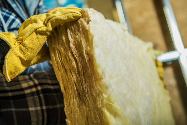Best Insulation Maintenance and Repair in Oswego, IL