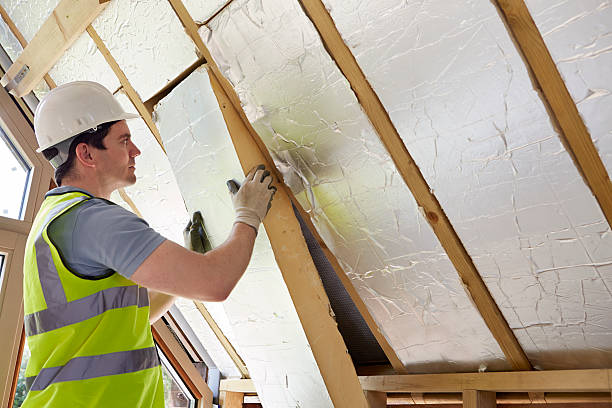 Best Cellulose Insulation in Oswego, IL